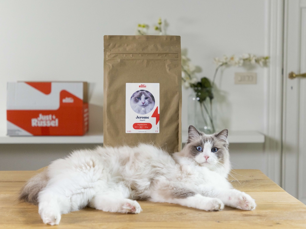 Un chat se tient à coté d'un sac de croquette Just Russel