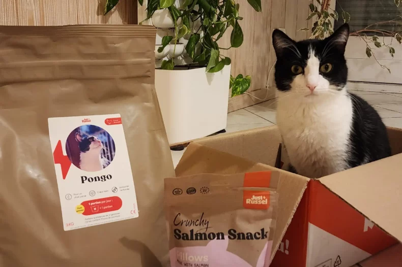 Chat avec son sac de croquettes