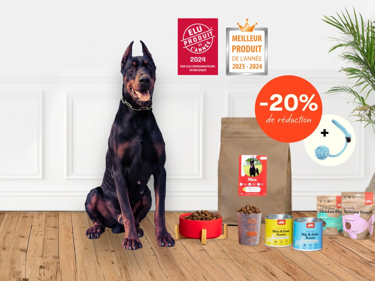 Un chien se tient à côté d'une gamme de produits Just Russel pour présenter une offre de réduction