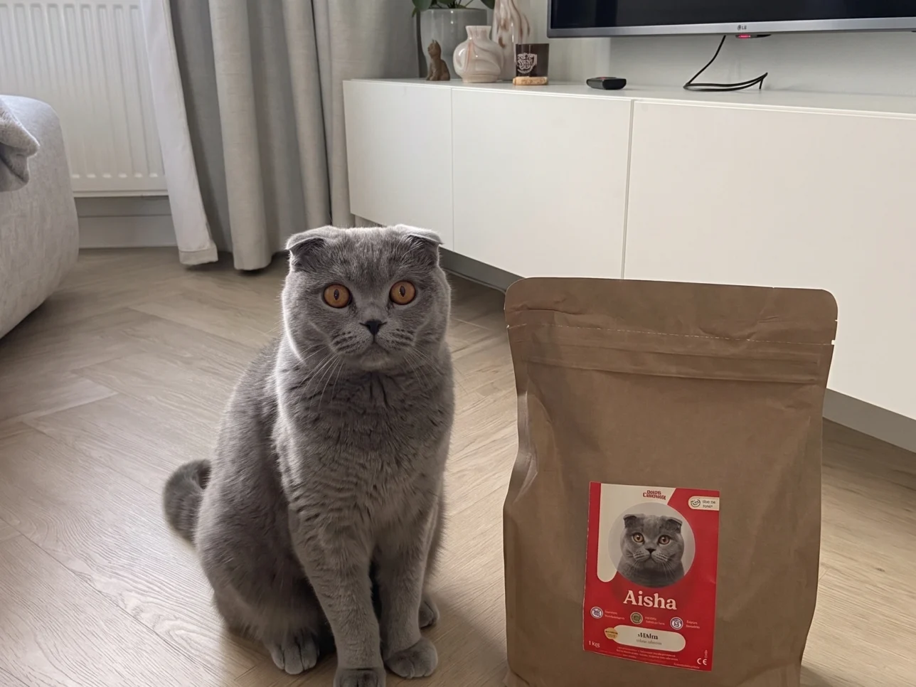 Scottisch fold eten