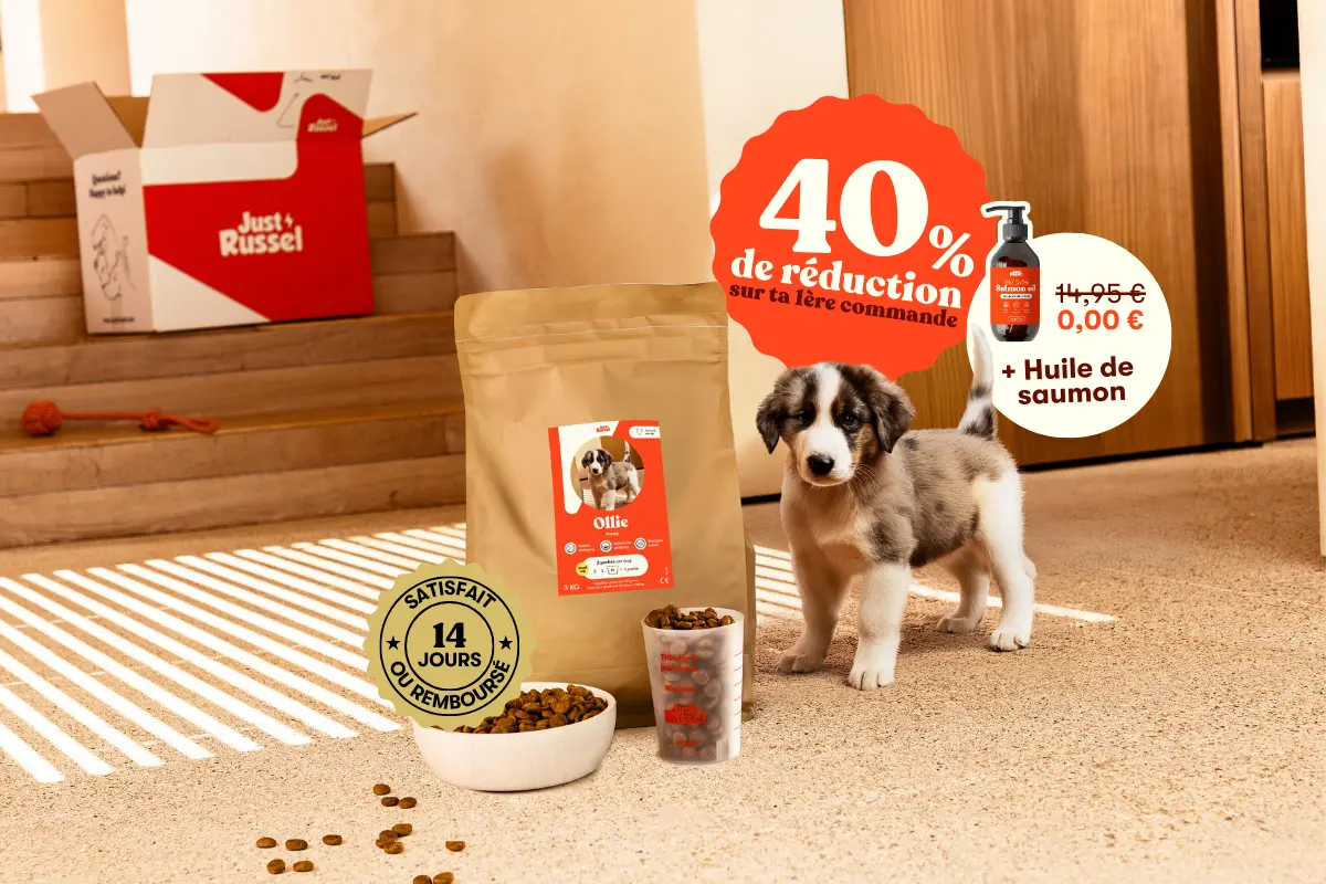 Bannière chiot google