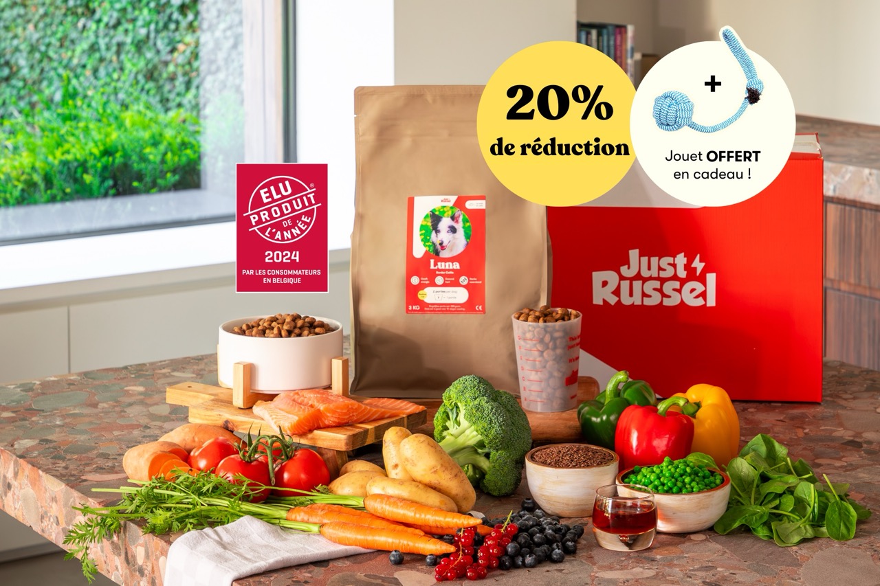 Réduction de 20% sur les produits Just Russel avec un jouet offert