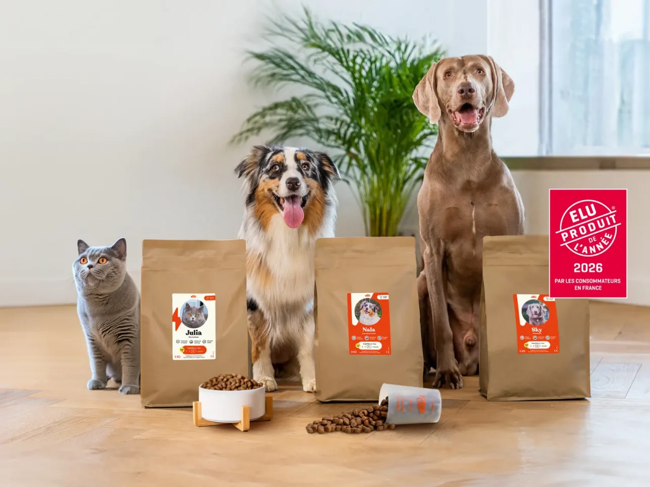 Bannière chien et chat mobile