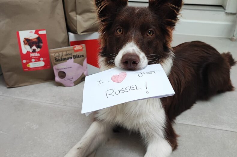 Chien tenant une feuille avec "I Love Just Russel" dessus