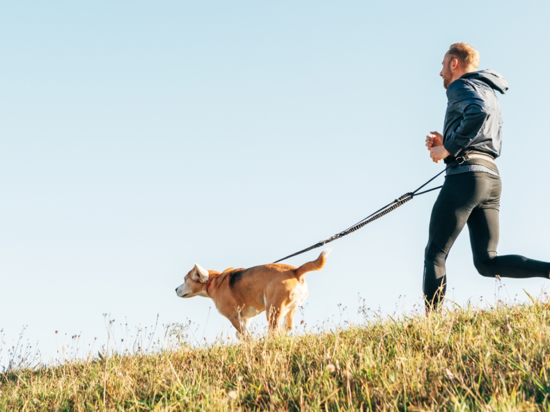 Un chien court avec son maître