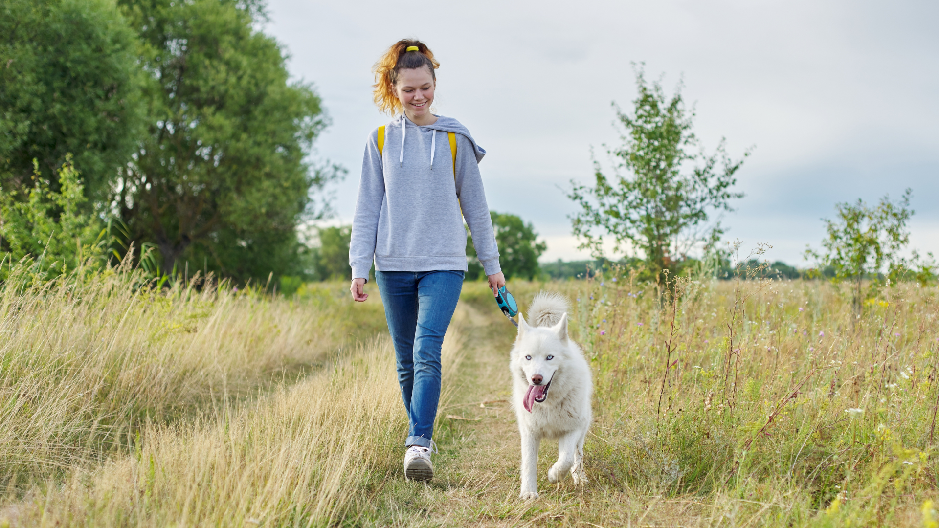 un chien et son maître se promenant dans les champs