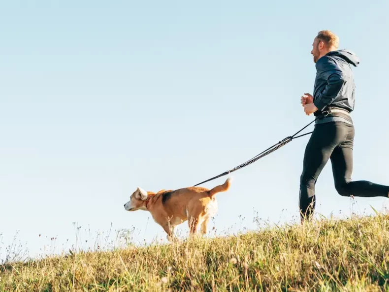 Chien qui fait du sport avec son maître