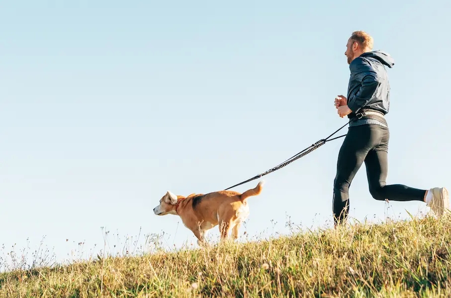 Chien qui fait du sport avec son maître