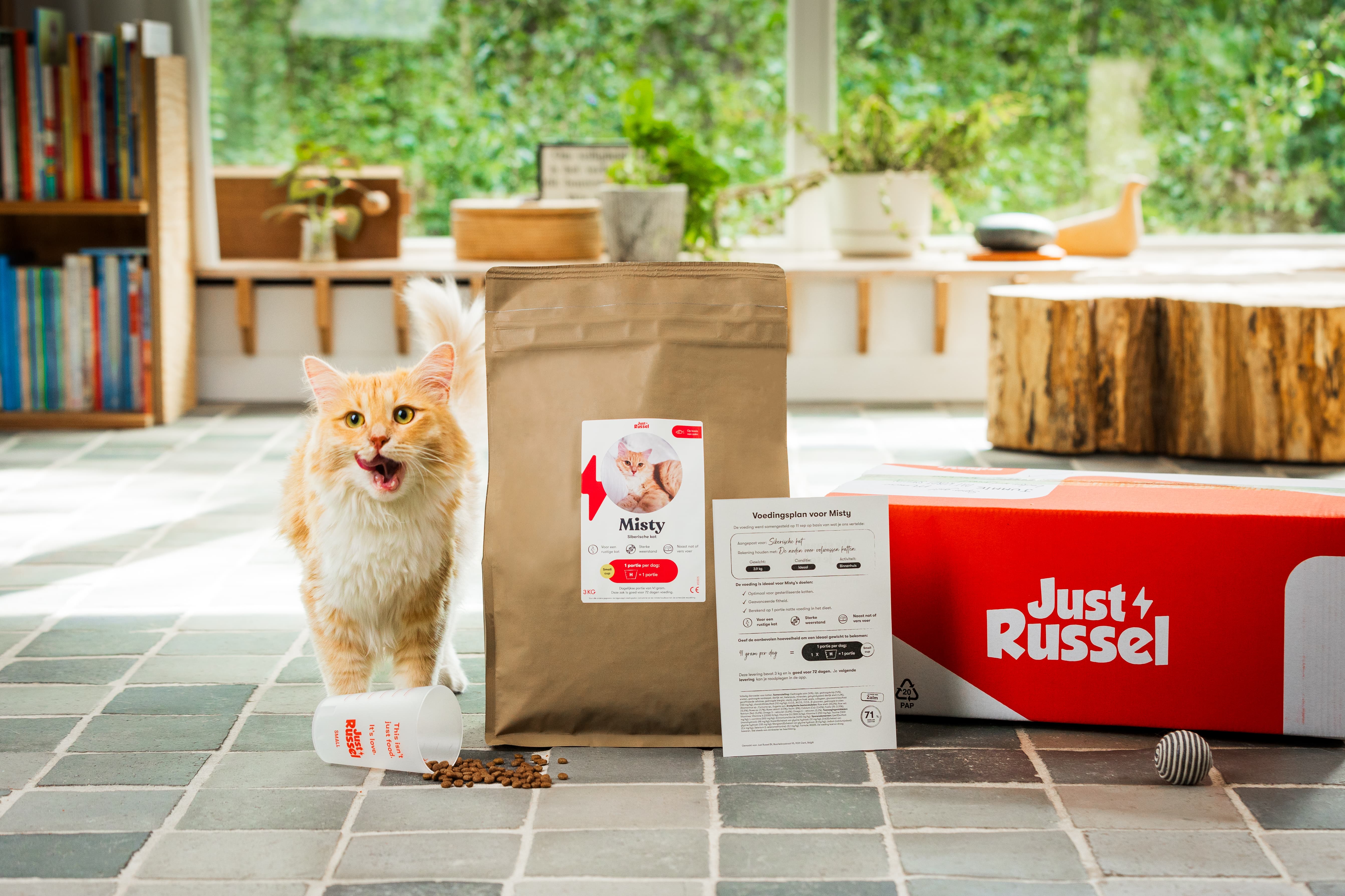 Chat qui se lèche les babines à côté d'un produit Just Russel.