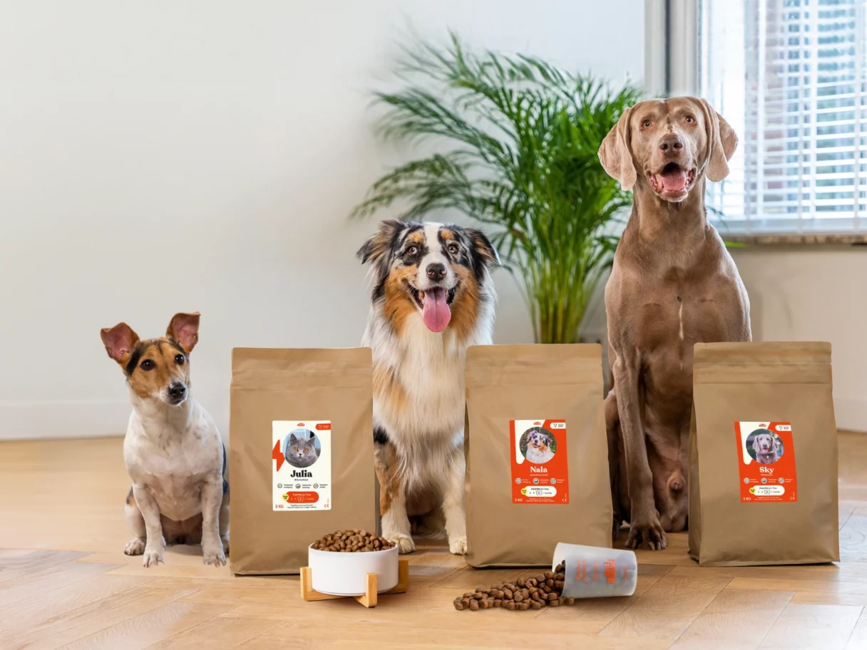 Des chiens se tiennent à côté d'une gamme de produits Just Russel pour présenter une offre de réduction