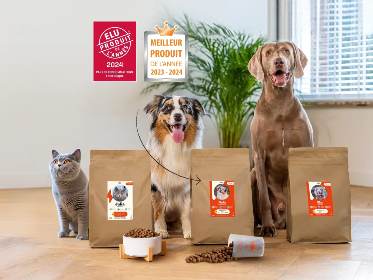 Des chiens et un chat se tiennent à côté d'une gamme de produits Just Russel pour présenter une offre de réduction