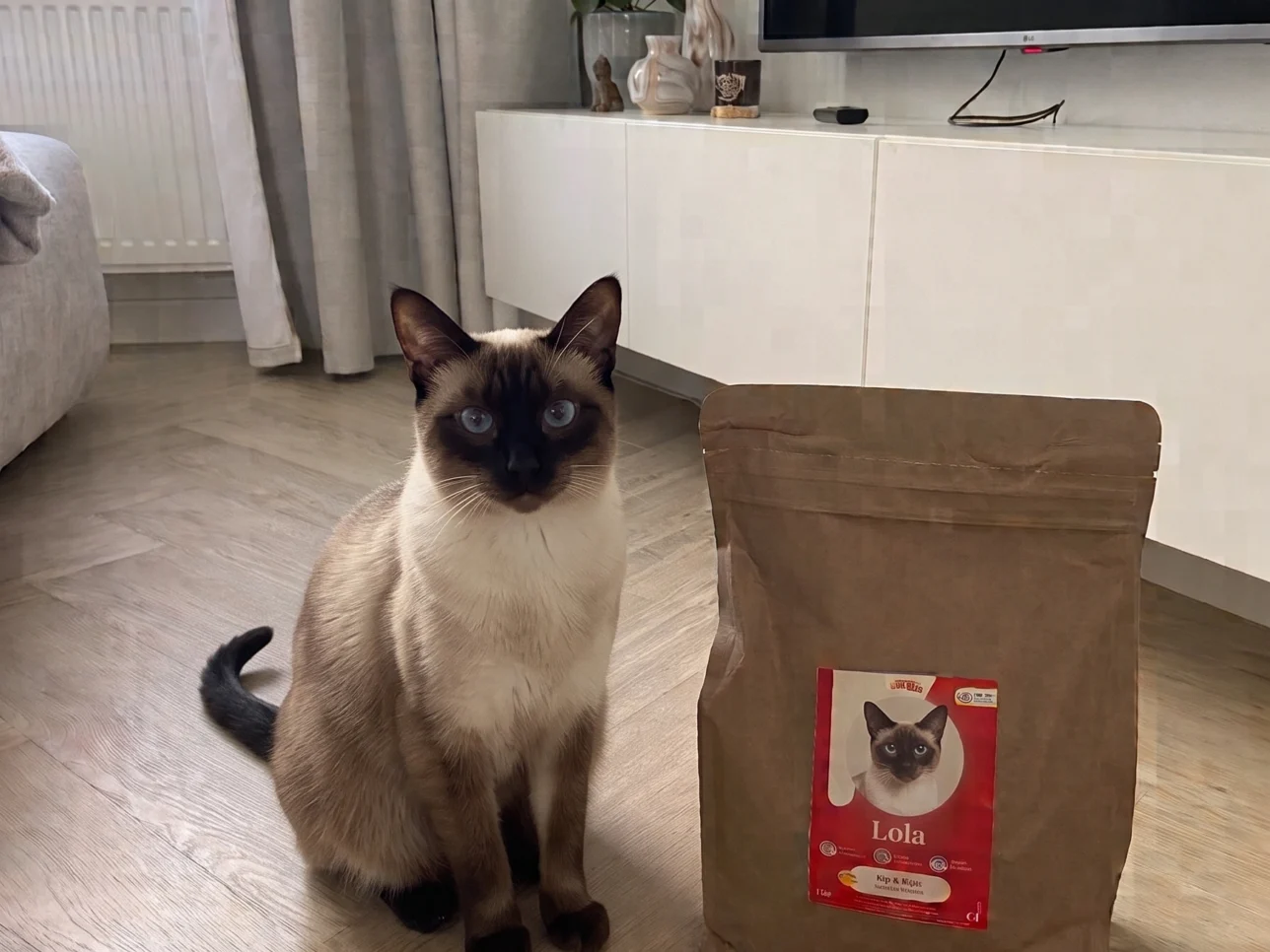 Siemese kat voeding