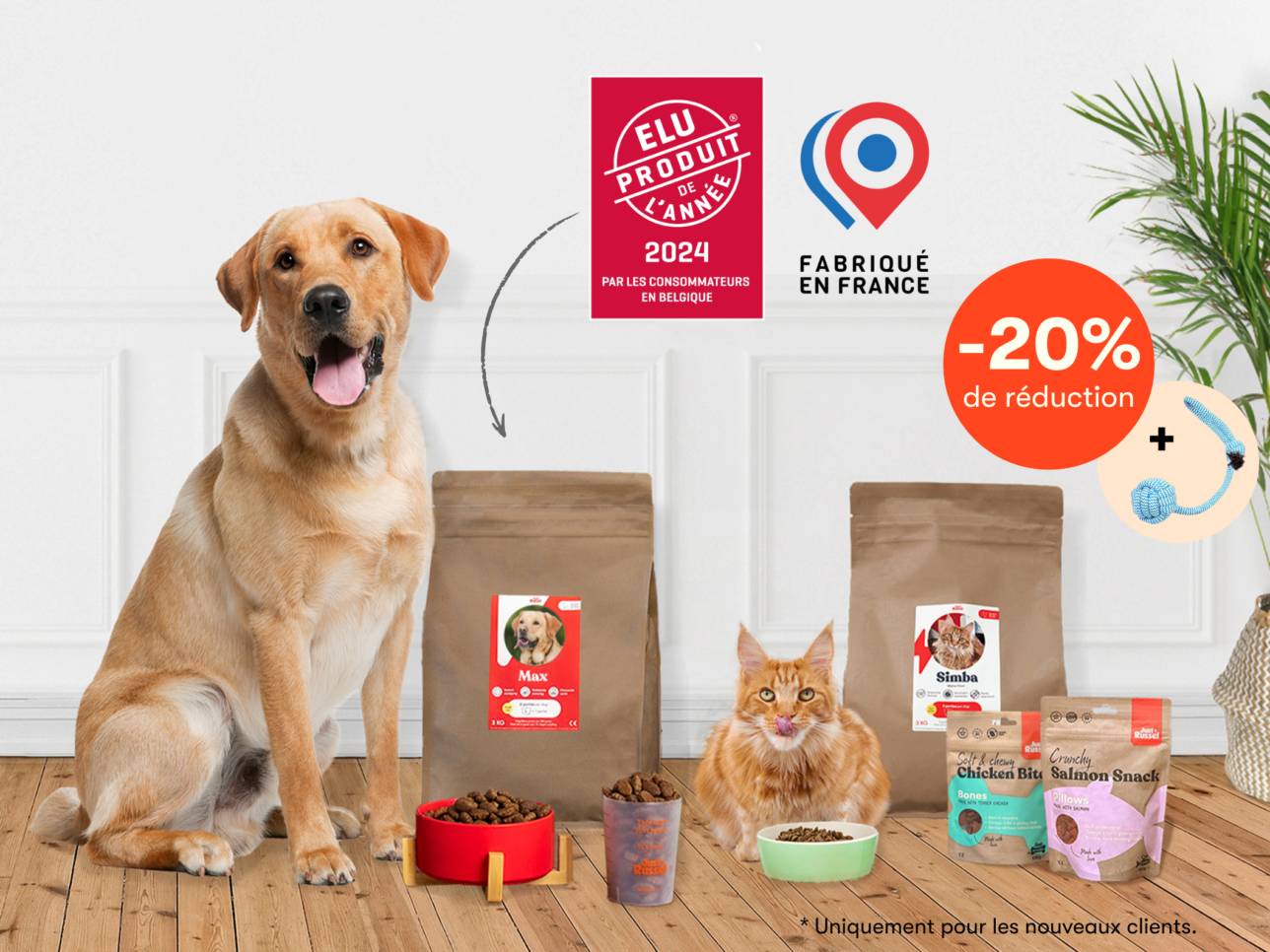 Un chien se tient à côté d'une gamme de produits Just Russel pour présenter une offre de réduction