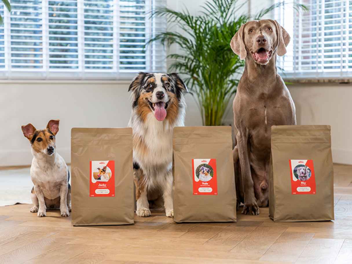 Des chiens se tiennent à côté d'une gamme de produits Just Russel pour présenter une offre de réduction