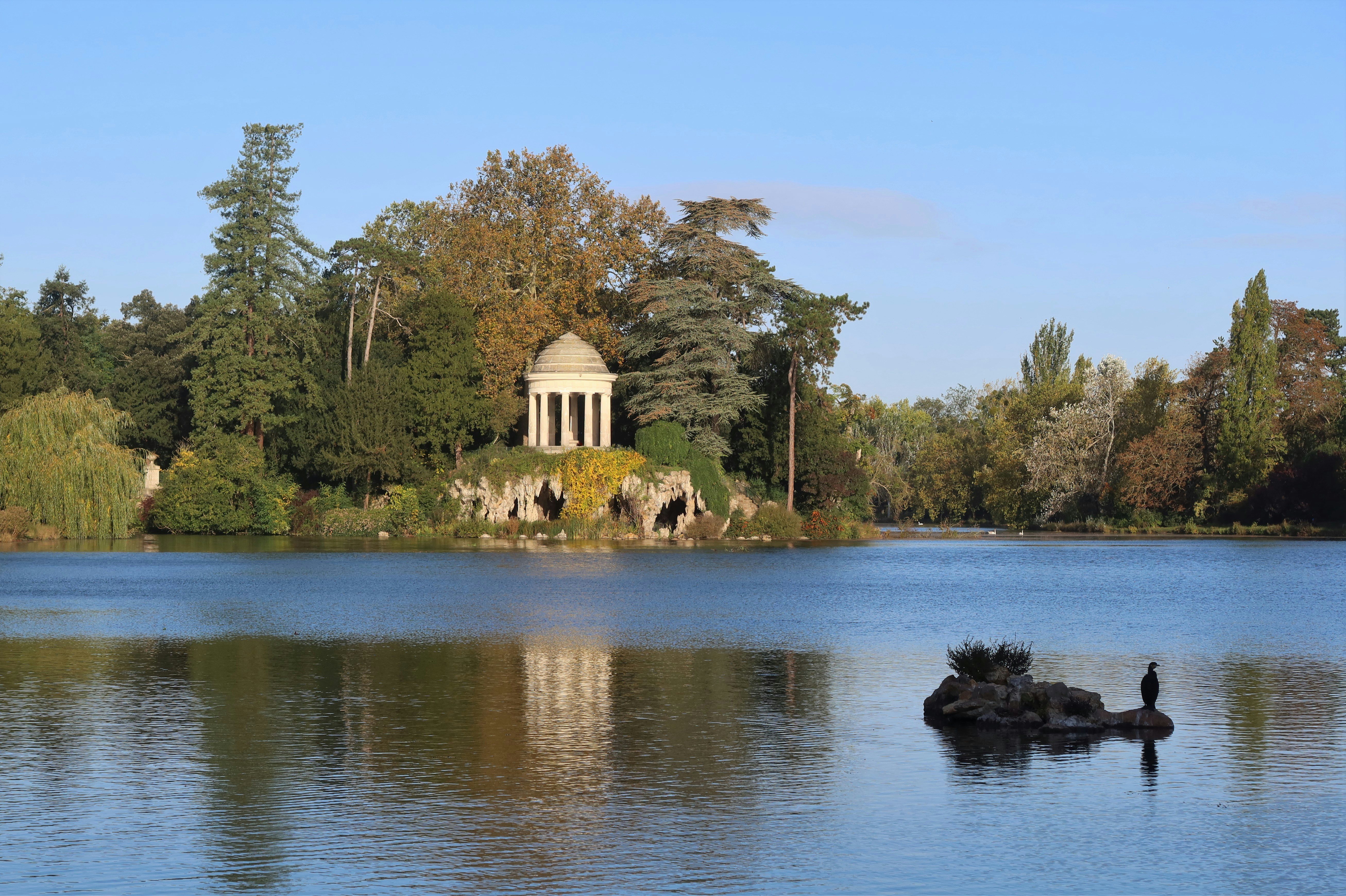 Le bois de Vincennes, un parc où l'on peut promener son chien sans laisse