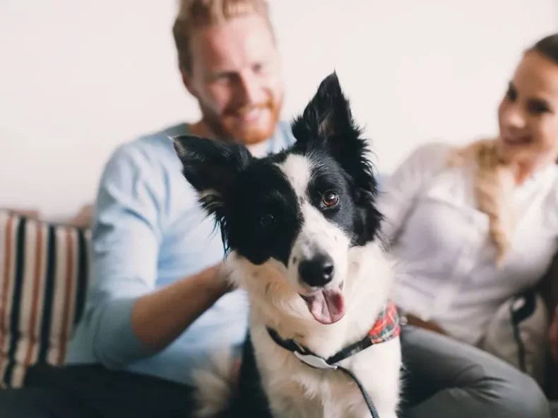 Un couple souriant est assis sur un canapé, avec un chien noir et blanc au premier plan, regardant la caméra avec un air joyeux