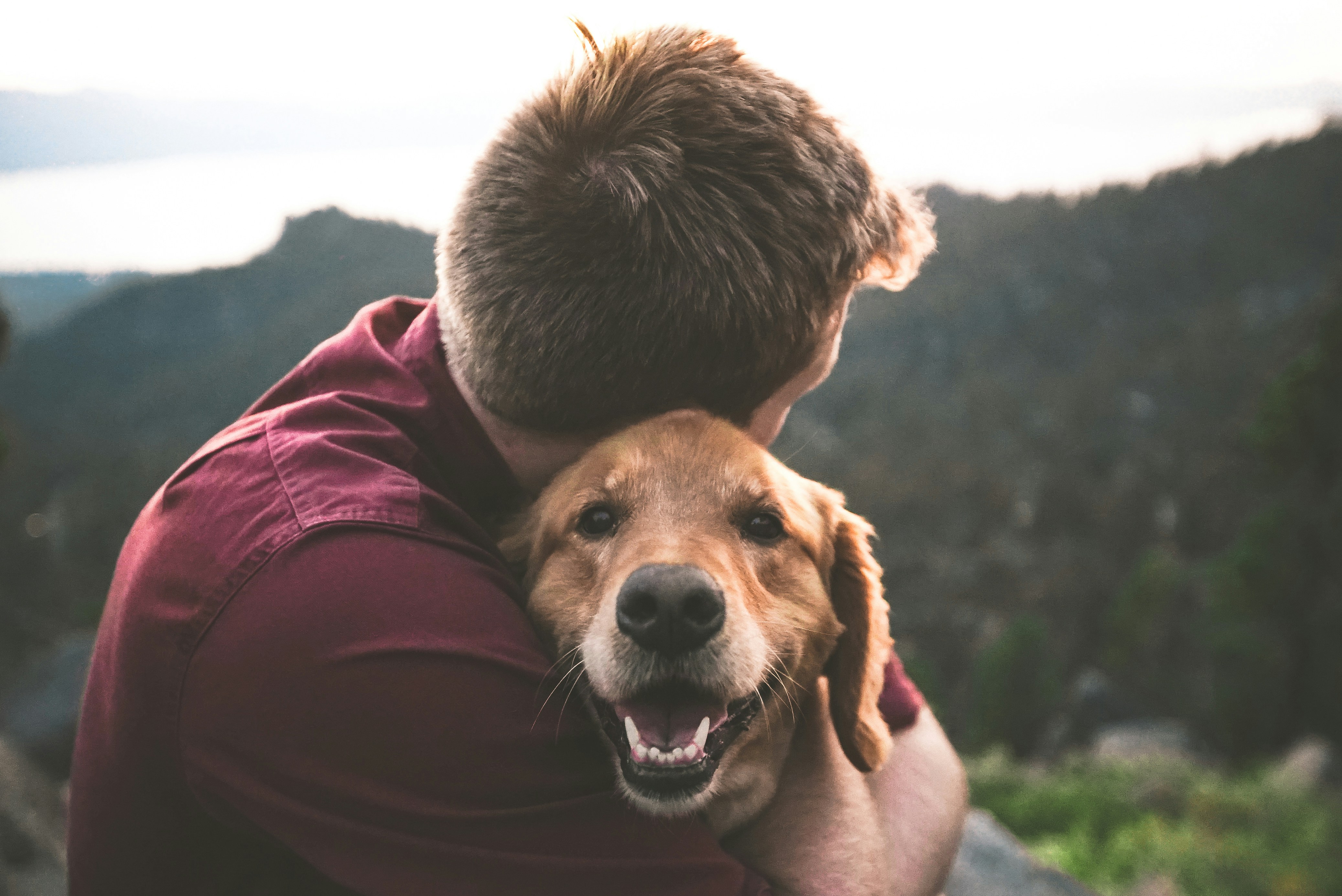 Un homme qui fait un câlin à un chien dehors