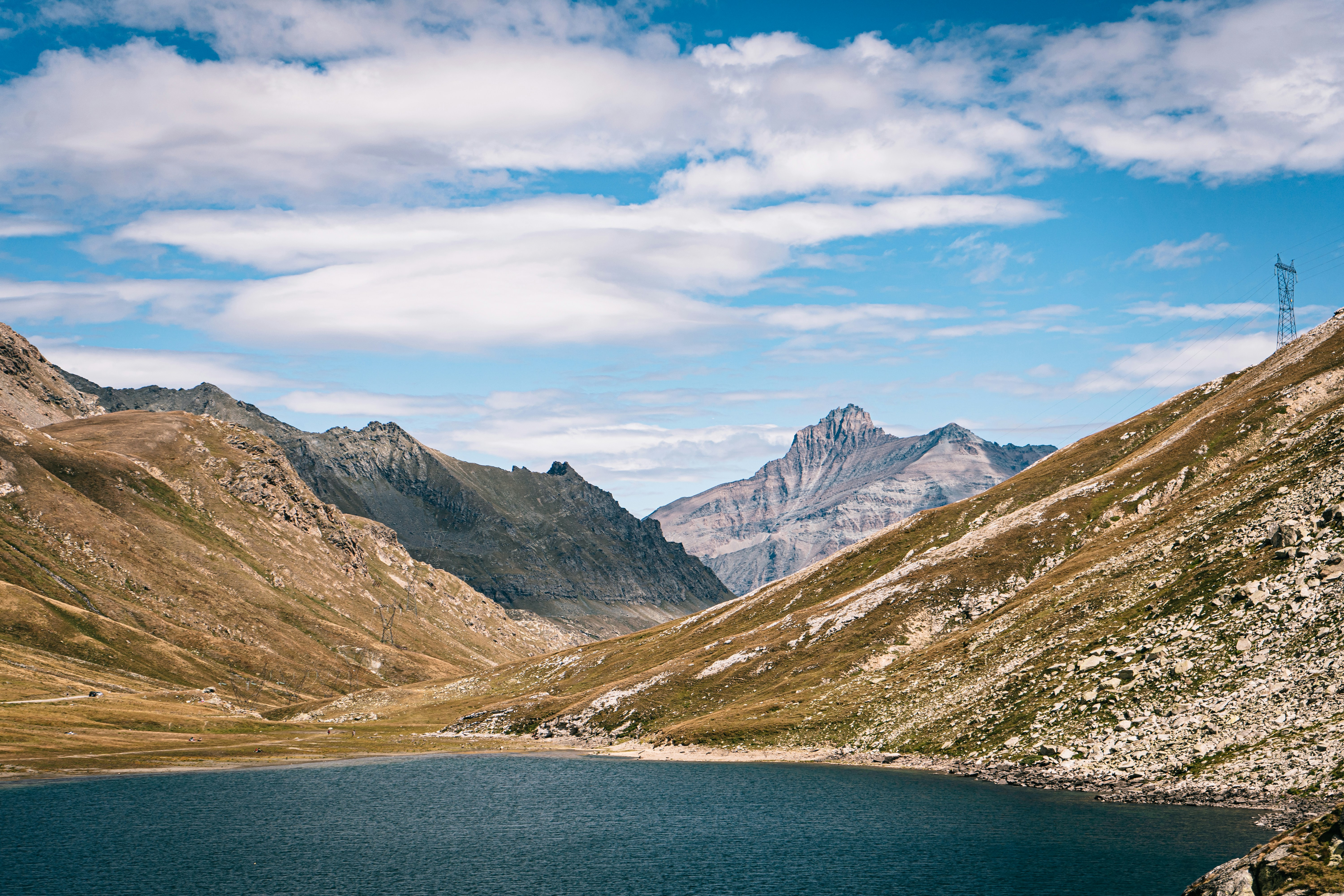 Une balade dans les Alpes avec son chien sans laisse