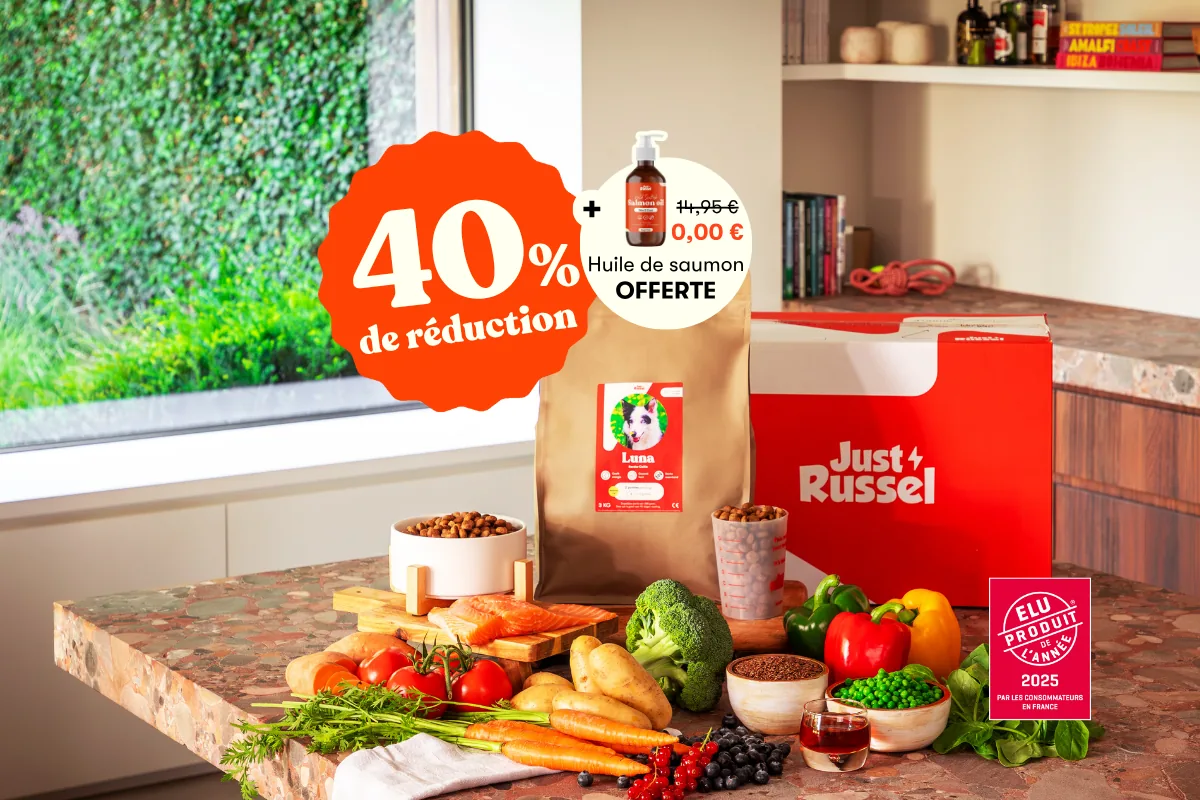 Bannière - 40% + huile de saumon