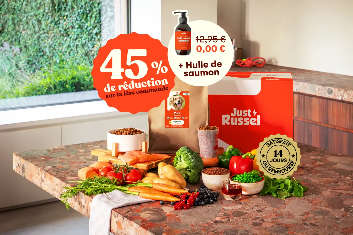 Alimentation chien et chat