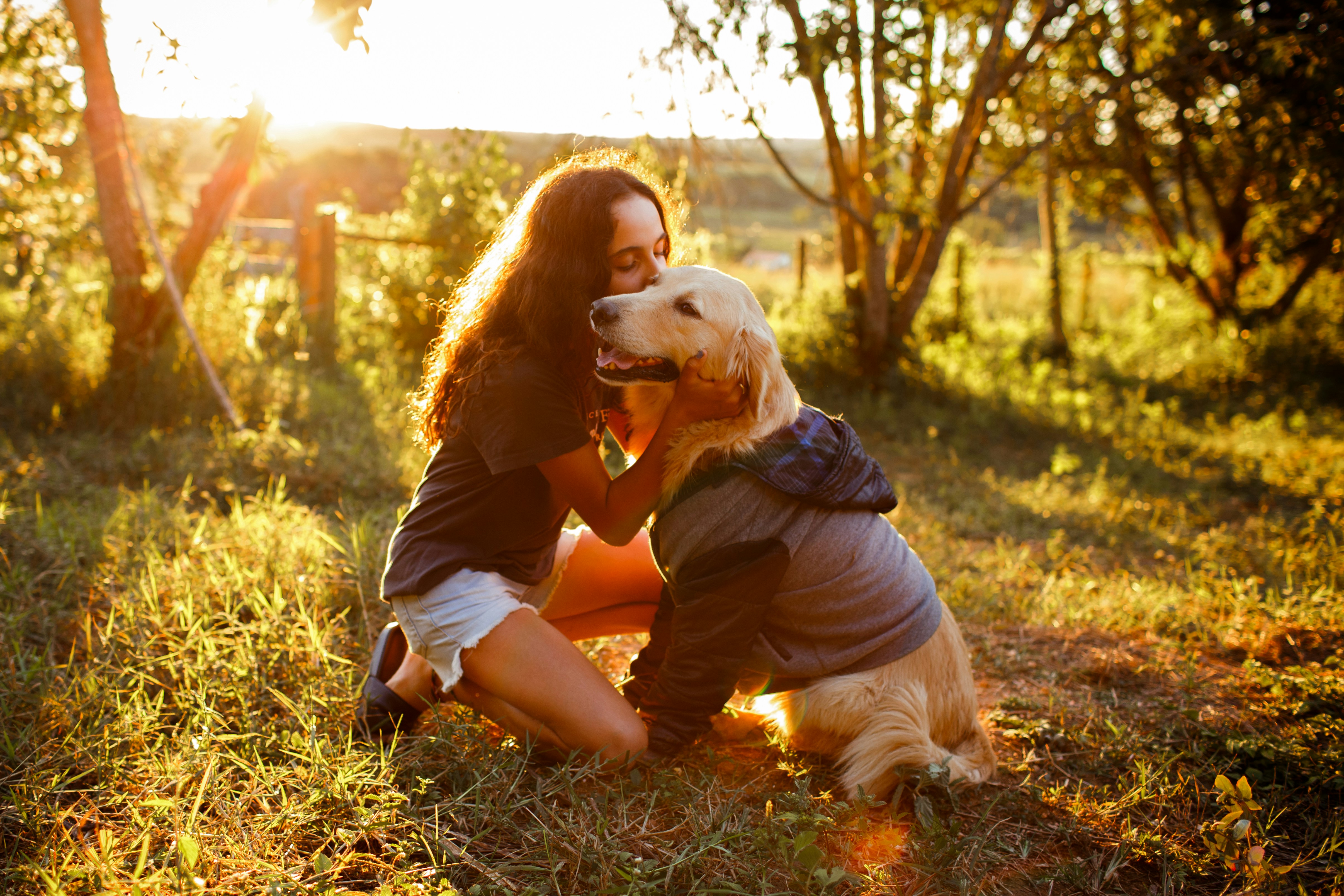 golden retriver qui porte un manteau dans un jardin, avec une fille qui lui fait un bisou