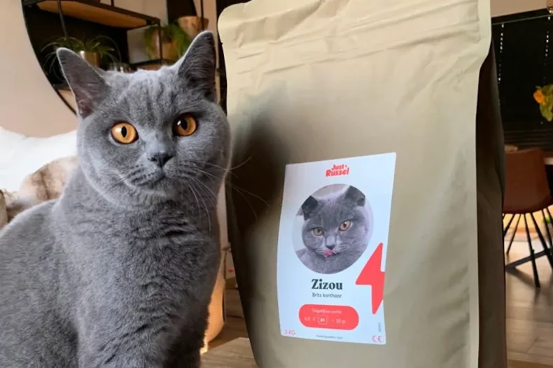 Chat avec son sac de croquettes