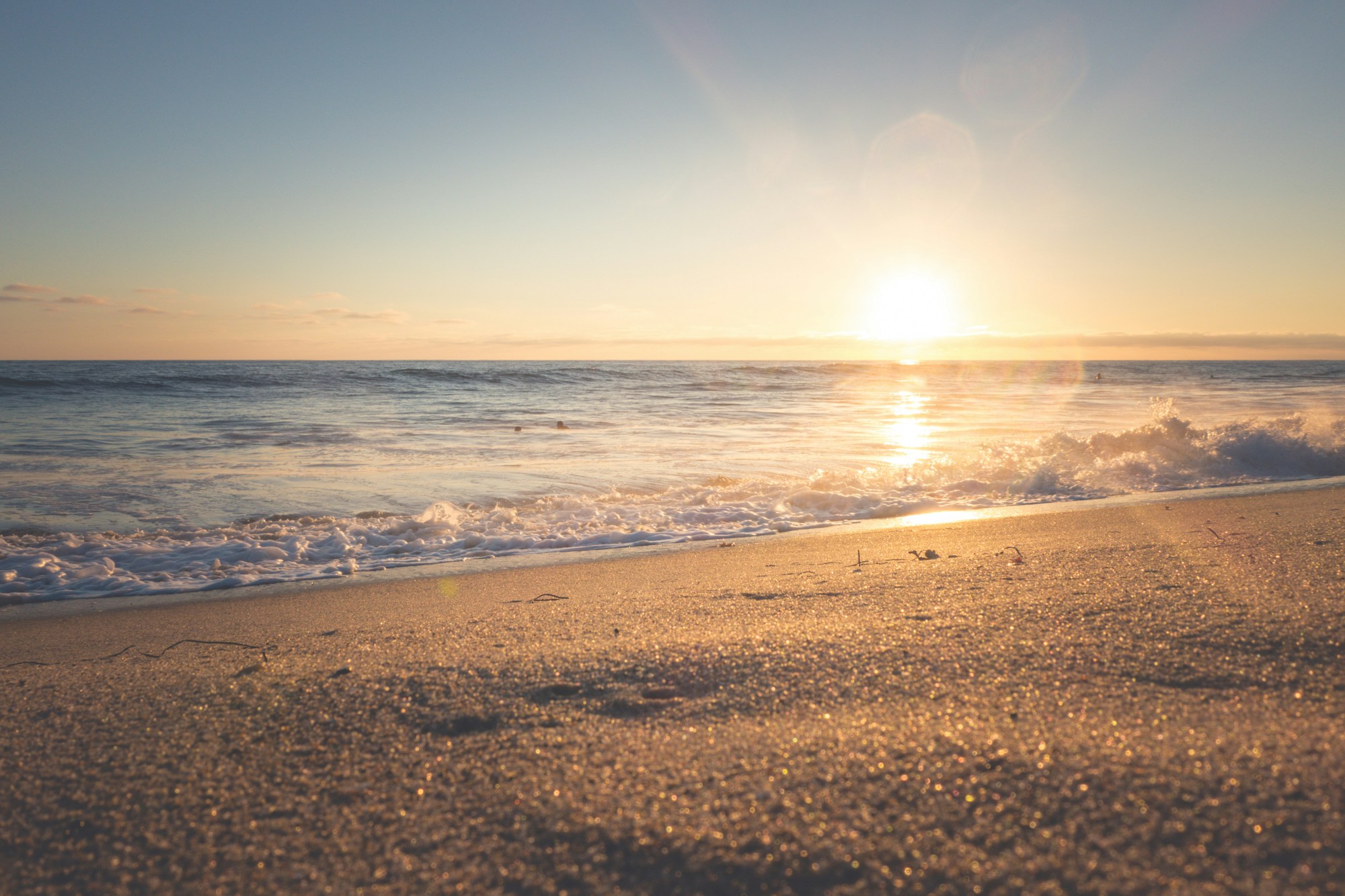 La Plage des Salins, un paradis canin