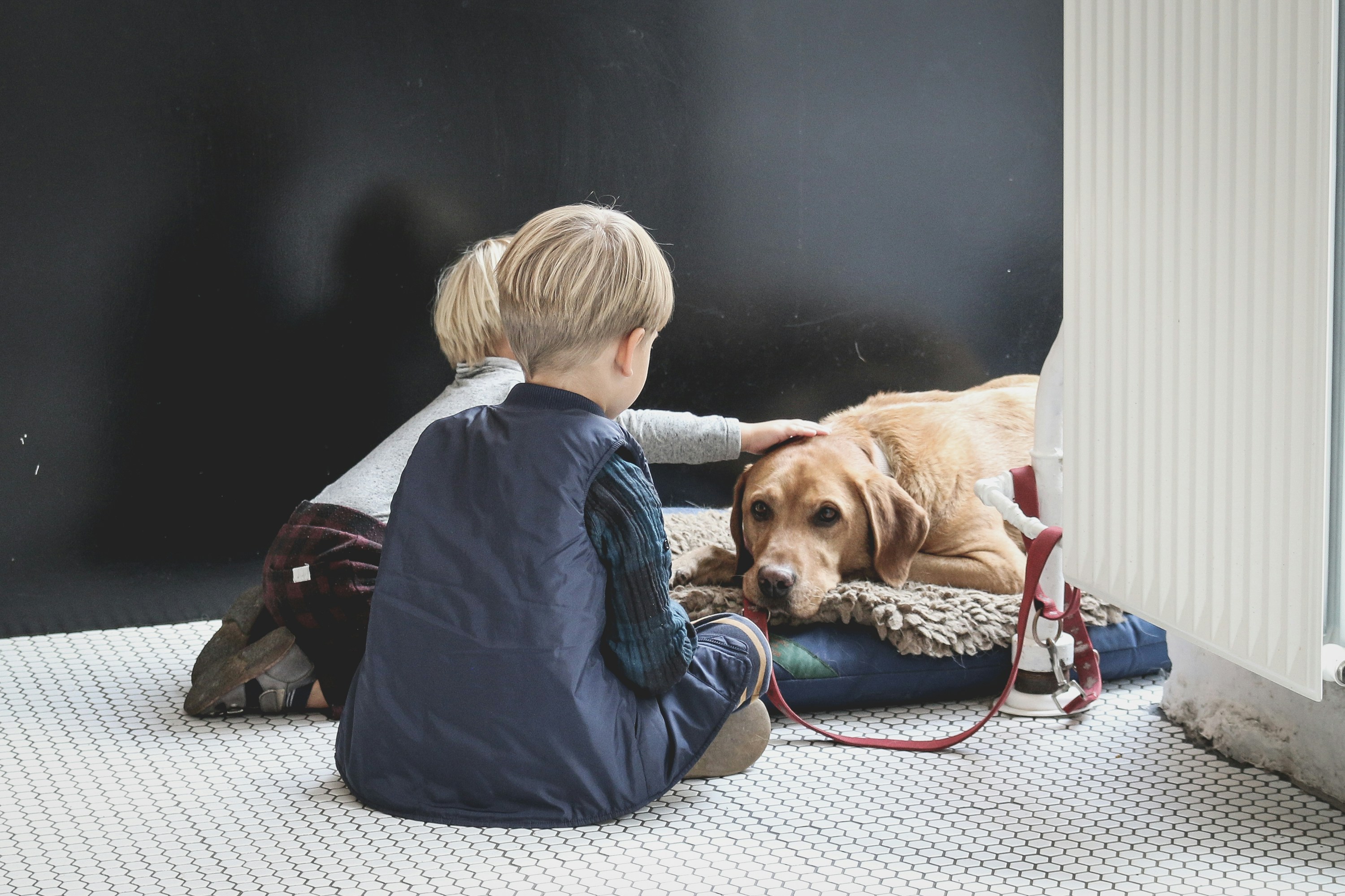 deux enfants qui carresse un labrador sur son panier dans une maison