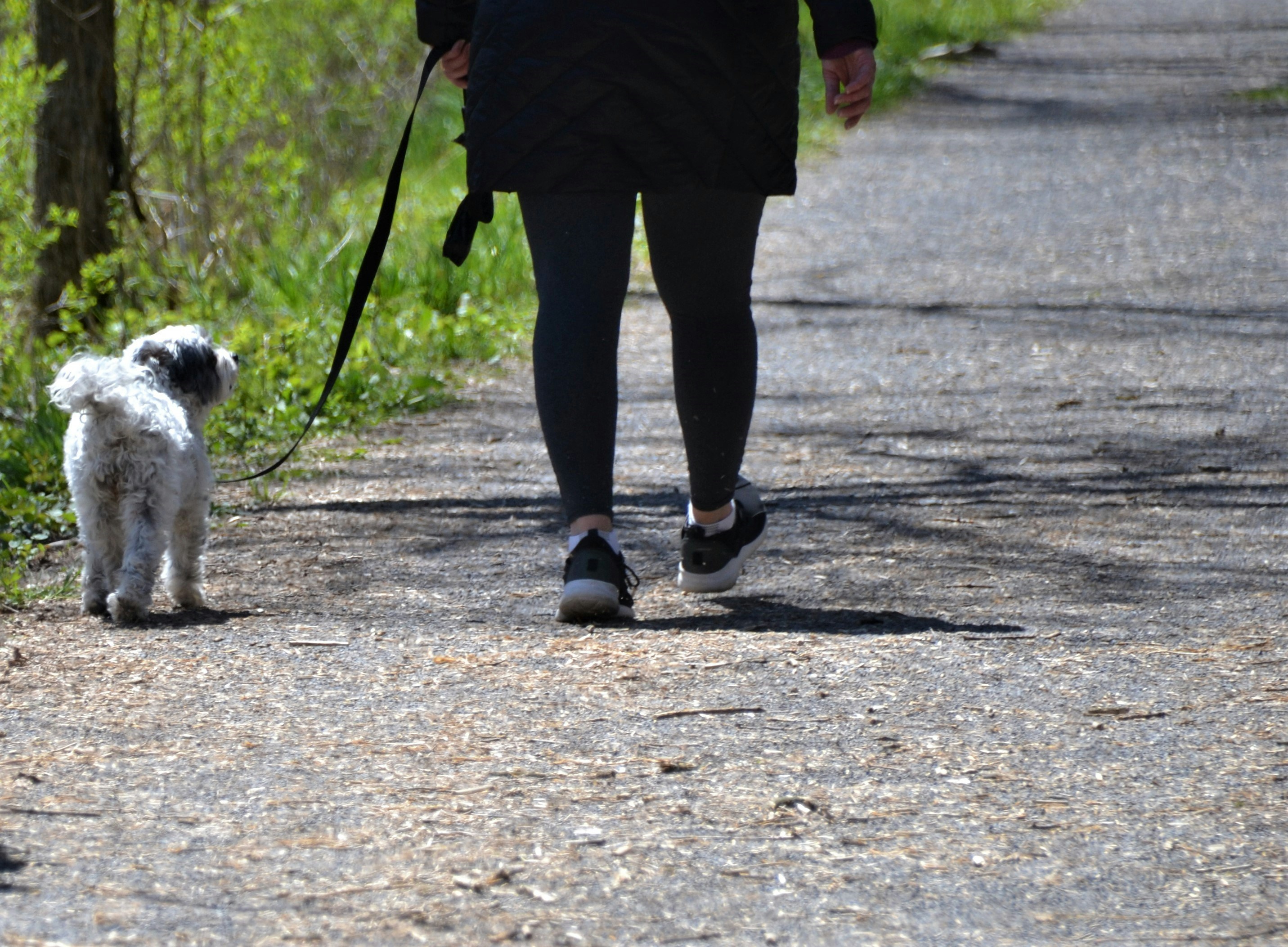 Une femme qui promene son chien en laisse sur un chemin