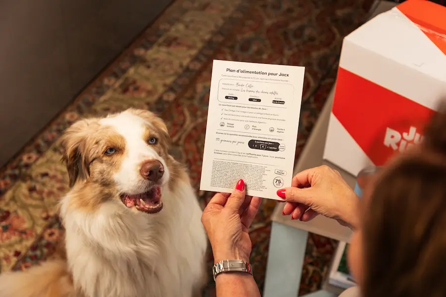 Plan d'alimentation pour une nourriture hypoallergénique