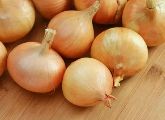 Plusieurs oignons sur une table dans une cuisine