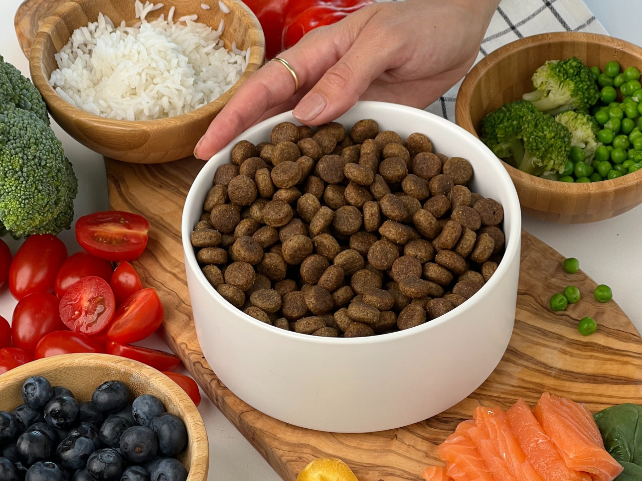 Un bol de croquettes équilibré contient des protéines, des fibres, des fruits et des légumes