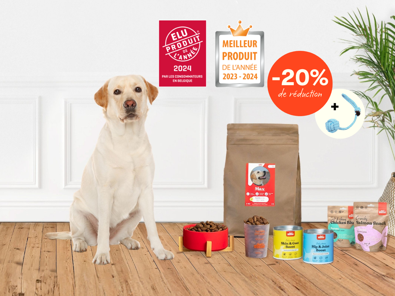 Un chien se tient à côté d'une gamme de produits Just Russel pour présenter une offre de réduction