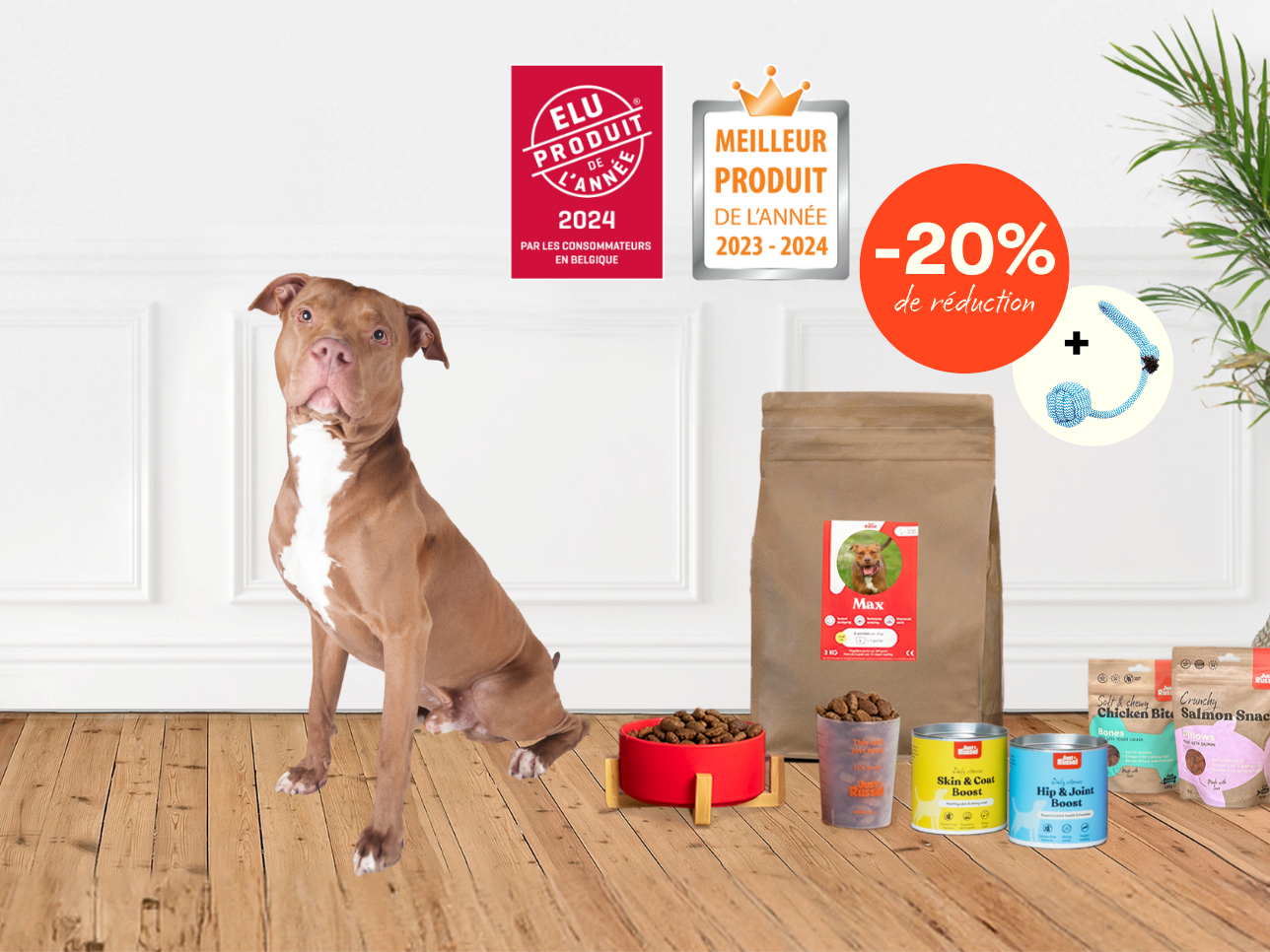 Un chien se tient à côté d'une gamme de produits Just Russel pour présenter une offre de réduction