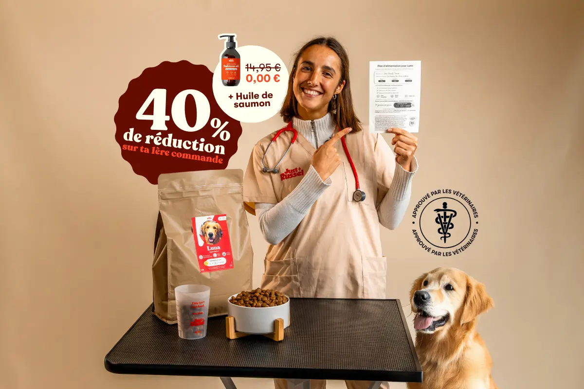 Landing Page Vétérinaire